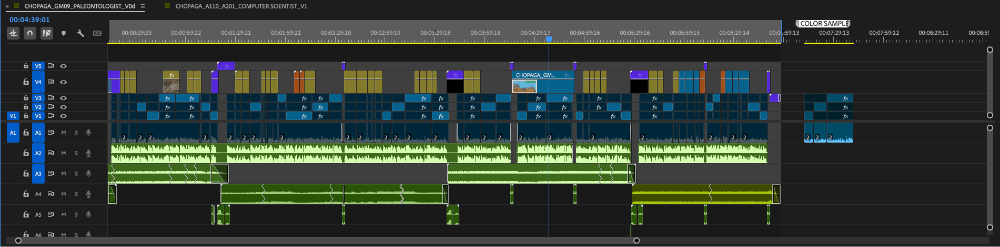 View of Work-In-Progress Timeline of Interview