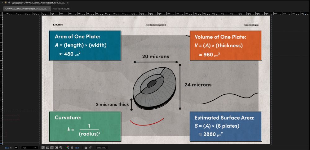 Frame from paleo math segment